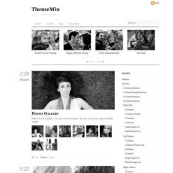 Themify Thememin WordPress Theme
