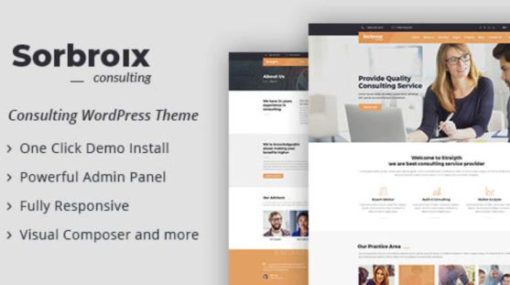 Sorbroix : Business Consulting WordPress Theme