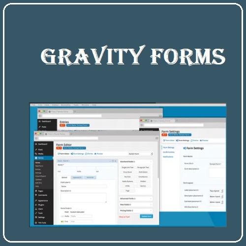 Gravity-Forms-WordPress-Plugin