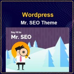 Mr. SEO - Social Media Marketing Agency Theme